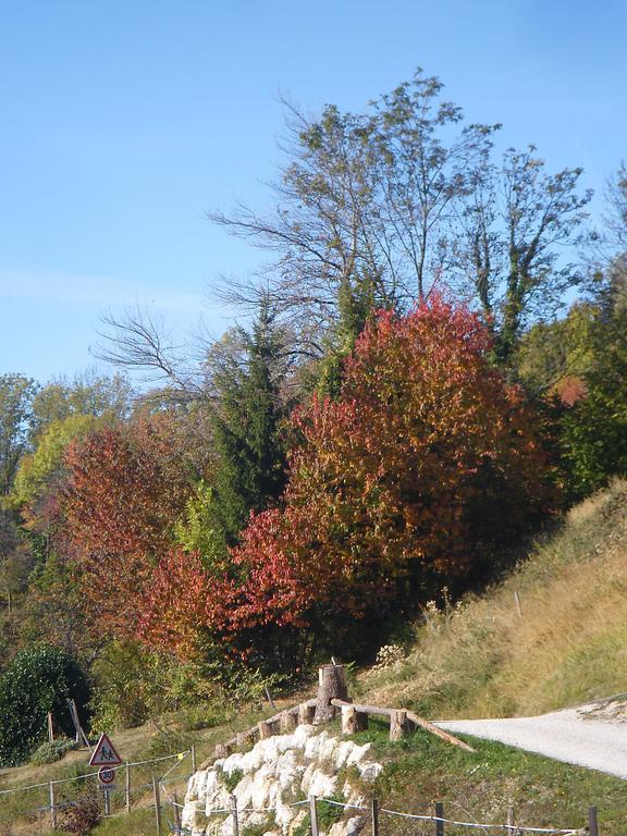 Gite Le Cerf De Belledonne Sainte-Agnes  Luaran gambar